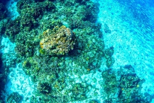 Snorkel in Cozumel and visit to El Cielo