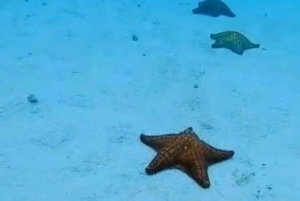 Snorkel in Cozumel and visit to El Cielo