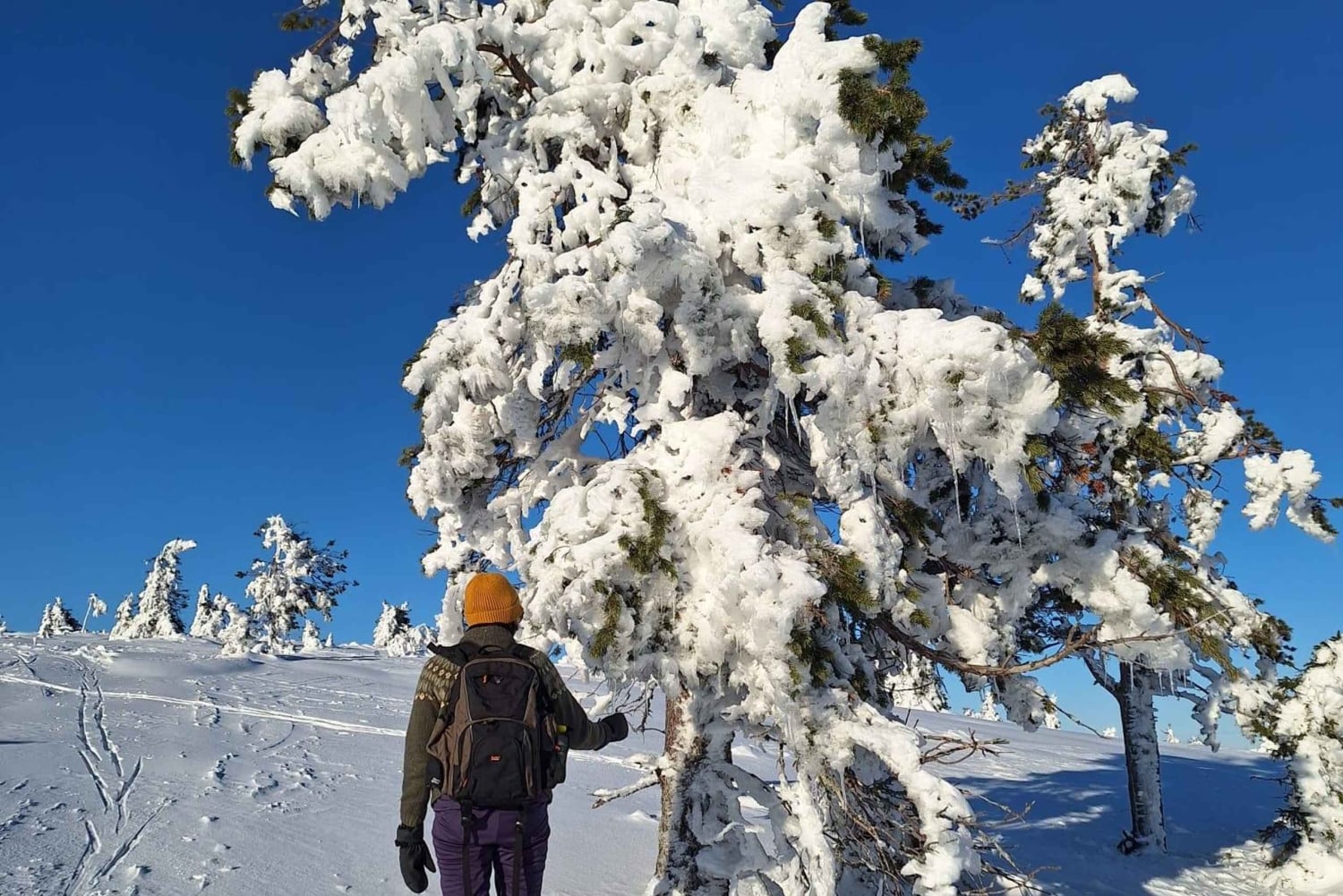 Snowshoeing at Rautuskylä Levi Arctic Shaman Adventures