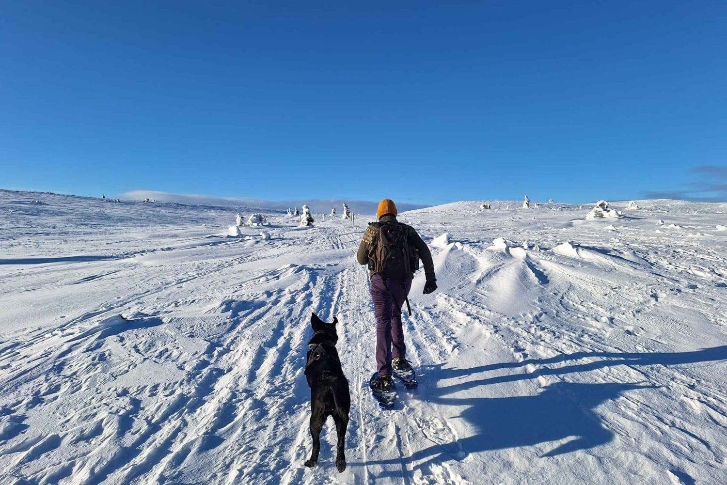 Snowshoeing at Rautuskylä Levi Arctic Shaman Adventures