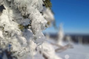 Snowshoeing at Rautuskylä Levi Arctic Shaman Adventures