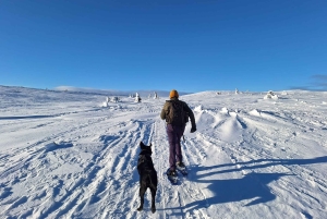 Snowshoeing at Rautuskylä Levi Arctic Shaman Adventures