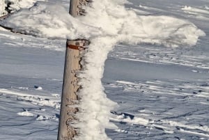 Snowshoeing at Rautuskylä Levi Arctic Shaman Adventures