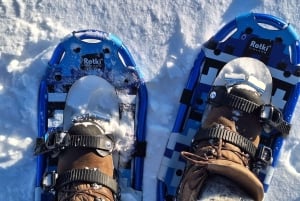 Snowshoeing at Rautuskylä Levi Arctic Shaman Adventures