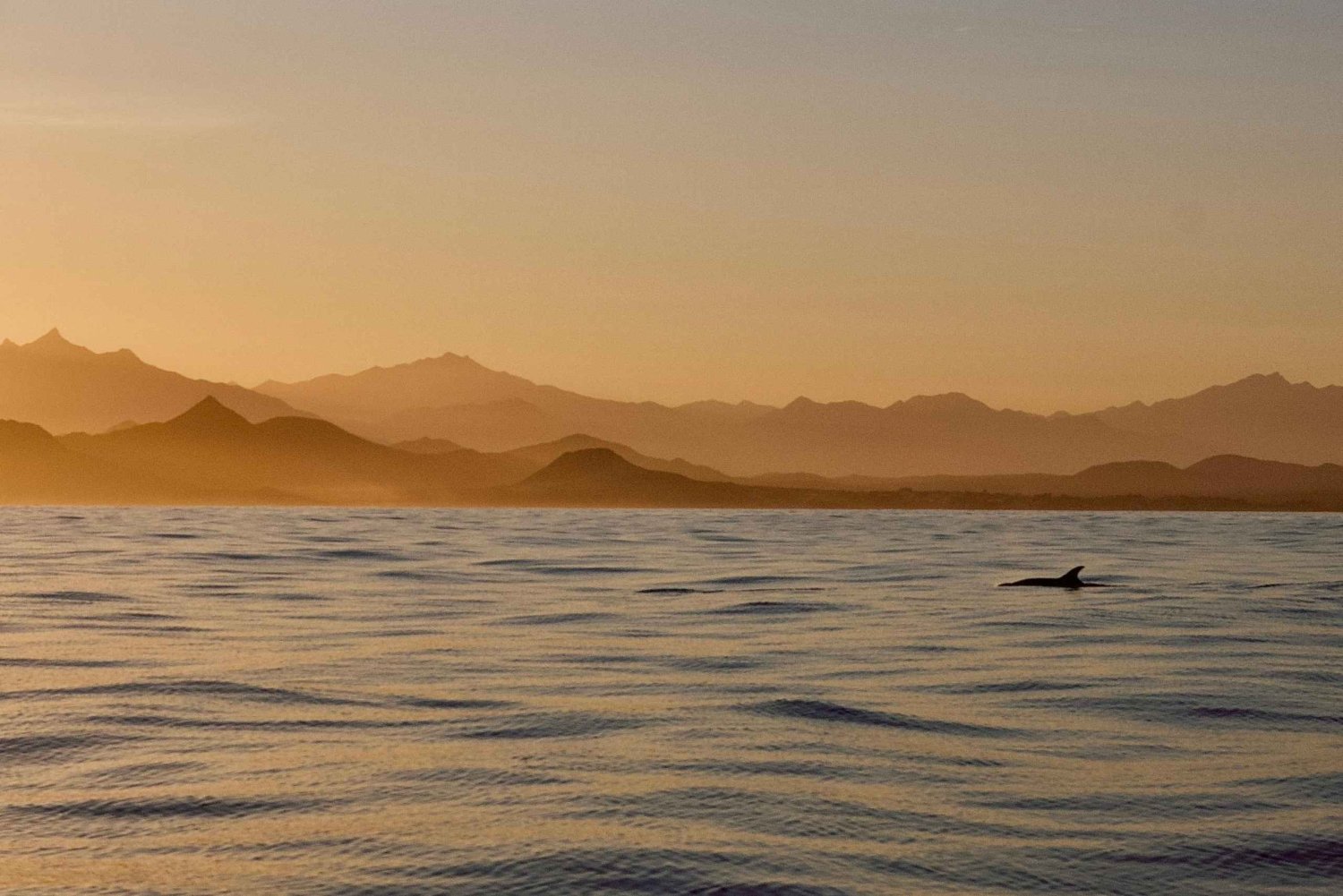 Crucero al atardecer en San José del Cabo