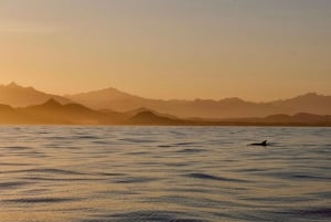Crucero al atardecer en San José del Cabo