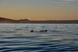 Crucero al atardecer en San José del Cabo