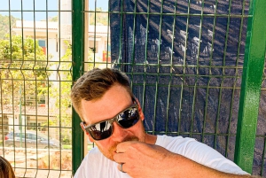Taco Tour with Electric Bikes - Bucerias or Puerto Vallarta