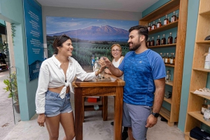 Taco Tour with Electric Bikes - Bucerias or Puerto Vallarta