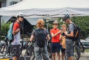 Megève: Beautiful Panoramas of Mont-Blanc E-bike Tour