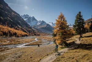 Megève: Beautiful Panoramas of Mont-Blanc E-bike Tour