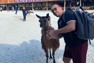 Visita Guatape e aldeias, passeio de barco com pequeno-almoço e almoço Medellin