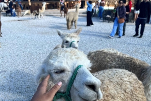 Visita Guatape e aldeias, passeio de barco com pequeno-almoço e almoço Medellin