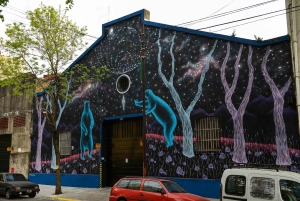 Tour of murals and graffiti in Buenos Aires
