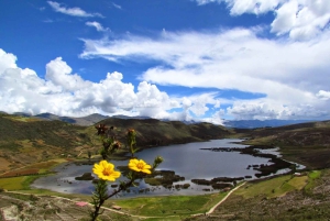 Omvisning i Cajamarca-dalen - San Nicolás lagune