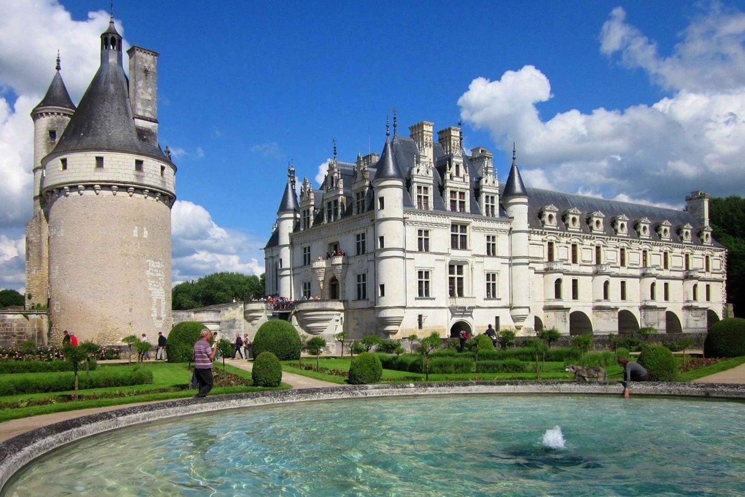 Tour/Amboise: Escursione e degustazione di vini a Chambord e Chenonceau