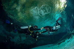 Tulum : Dos Ojos cenote 2 scuba dives (certified divers)