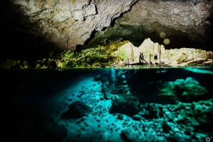Tulum : Dos Ojos cenote 2 scuba dives (certified divers)