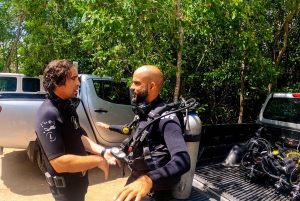 Tulum : Dos Ojos cenote 2 scuba dives (certified divers)