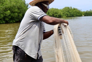 Typical lunch on beach, mangrove tour & fishing with natives