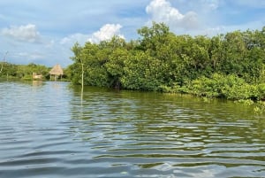 Typical lunch on beach, mangrove tour & fishing with natives