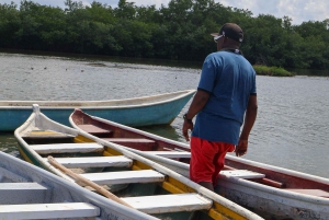 Typical lunch on beach, mangrove tour & fishing with natives