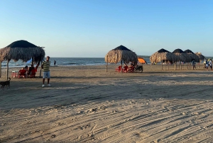 Typical lunch on beach, mangrove tour & fishing with natives