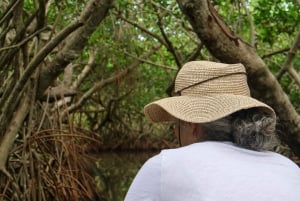 Typical lunch on beach, mangrove tour & fishing with natives