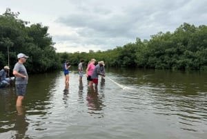 Typical lunch on beach, mangrove tour & fishing with natives