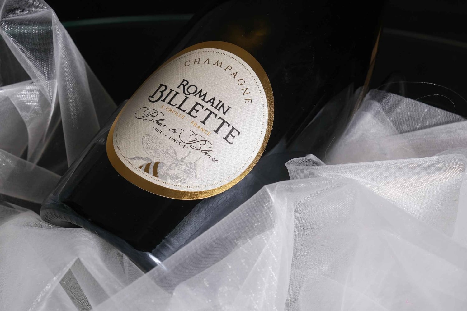 Urville: Tour and champagne tasting with cheese and honey pairings