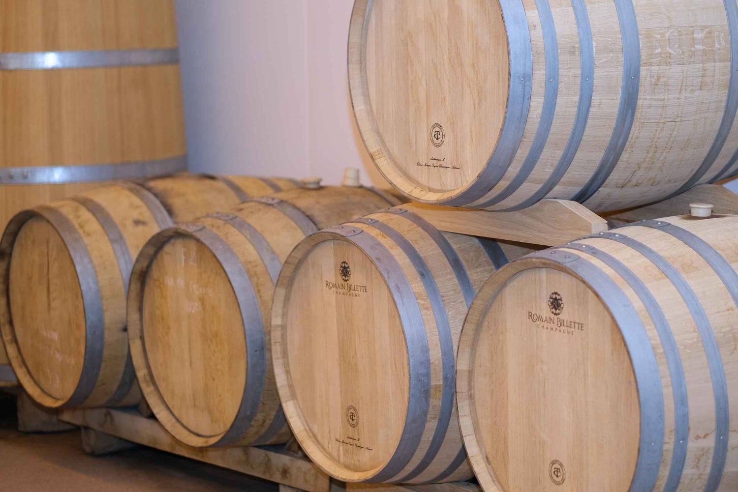 Urville: Tour and champagne tasting with cheese and honey pairings