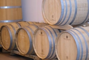 Urville: Tour and champagne tasting with cheese and honey pairings