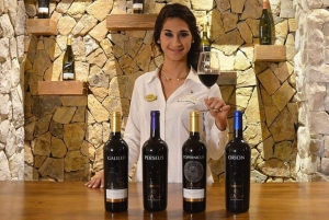 Valle de Guadalupe: Wine Tasting and Carriage Tour