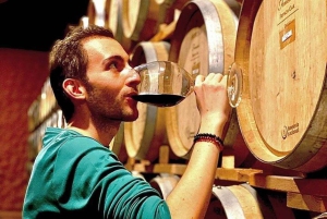Valle de Guadalupe: Wine Tasting and Carriage Tour