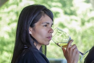 Port Valparaiso i Viña del Mar, degustacja wina w Casablance