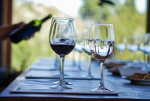 Port Valparaiso i Viña del Mar, degustacja wina w Casablance