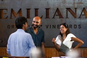 Port Valparaiso i Viña del Mar, degustacja wina w Casablance