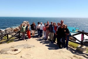 Vina Del Mar, Valparaiso, Casablanca, Reñaca, Oceanic Rock