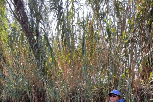 Xochimilco : lever du soleil en kayak à Mexico