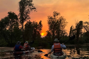 Xochimilco : lever du soleil en kayak à Mexico