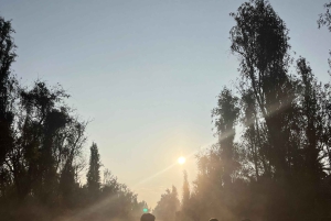 Xochimilco : lever du soleil en kayak à Mexico
