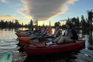 Xochimilco : lever du soleil en kayak à Mexico