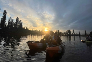 Xochimilco : lever du soleil en kayak à Mexico
