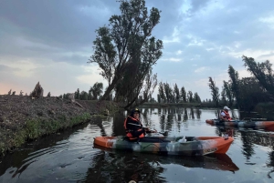 Xochimilco : lever du soleil en kayak à Mexico