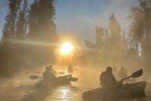 Xochimilco : lever du soleil en kayak à Mexico