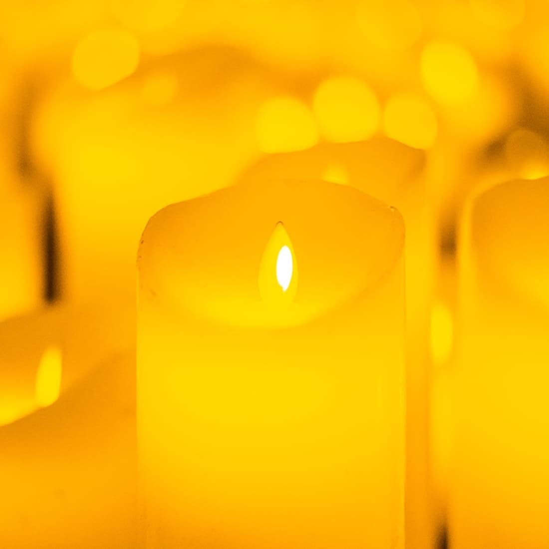 Candlelight Lente: Eerbetoon aan Ludovico Einaudi