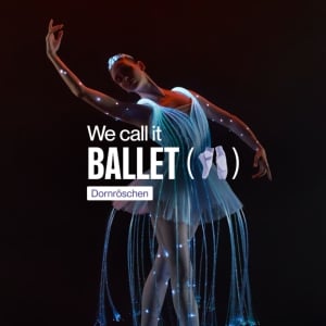 We call it Ballet: la Belle au bois dormant, danse et spectacle de lumière