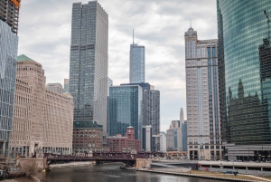 Upplevelse av Chicagos arkitektur med tåg