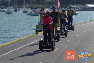 Amazing Lakefront Segway Tour of Chicago