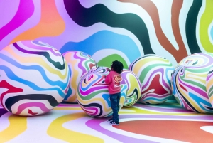 Museo del Globo de Chicago - EmotionAir - Entrada flexible